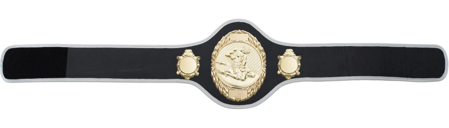 MMA CHAMPIONSHIP BELT-PRO286/G/MMAG-10+ COLOURS